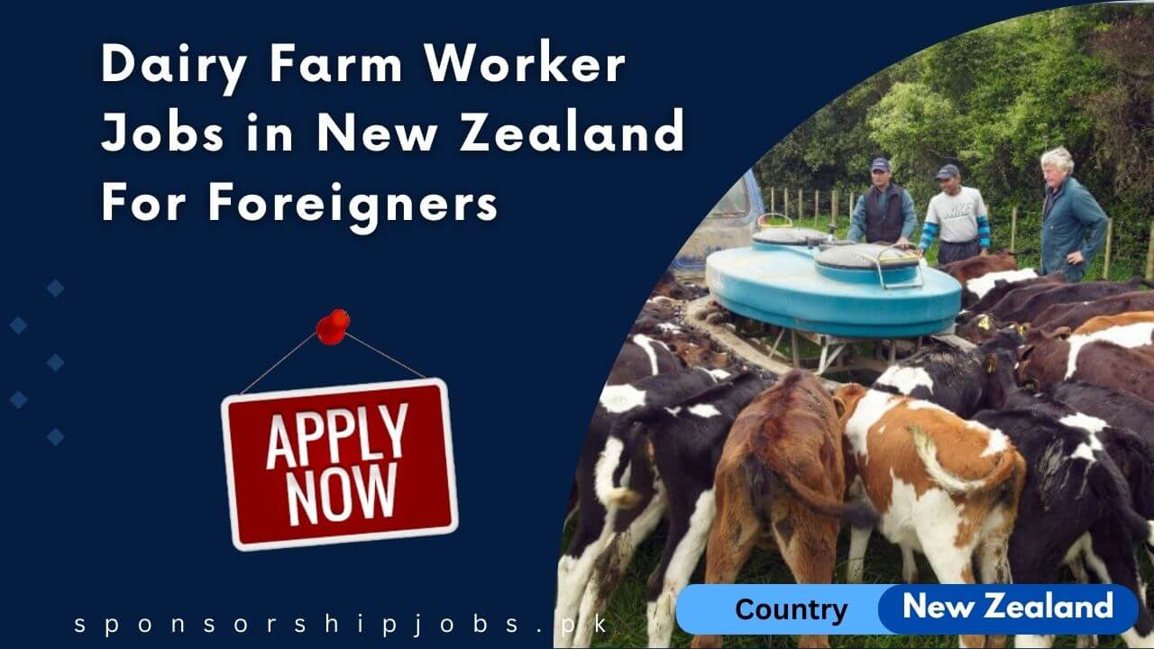 Dairy Farm Worker Jobs In New Zealand For Foreigners