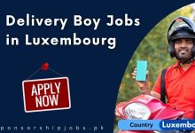 Delivery Boy Jobs in Luxembourg
