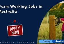 Farm Working Jobs in Australia