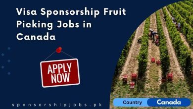 Visa Sponsorship Fruit Picking Jobs in Canada