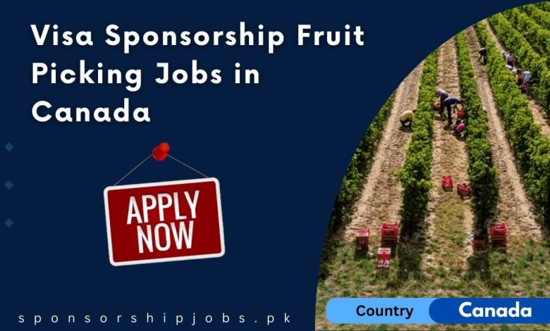 Visa Sponsorship Fruit Picking Jobs in Canada