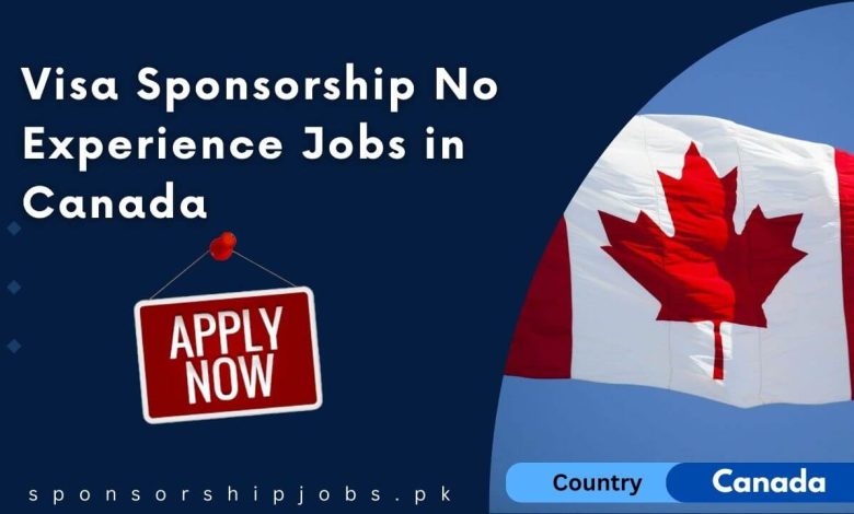 Visa Sponsorship No Experience Jobs in Canada