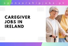 Caregiver Jobs in Ireland