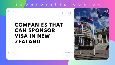 Companies that Can Sponsor Visa in New Zealand