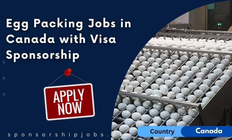 Egg Packing Jobs in Canada with Visa Sponsorship