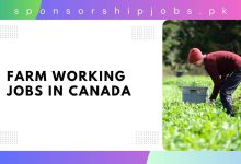 Farm Working Jobs in Canada