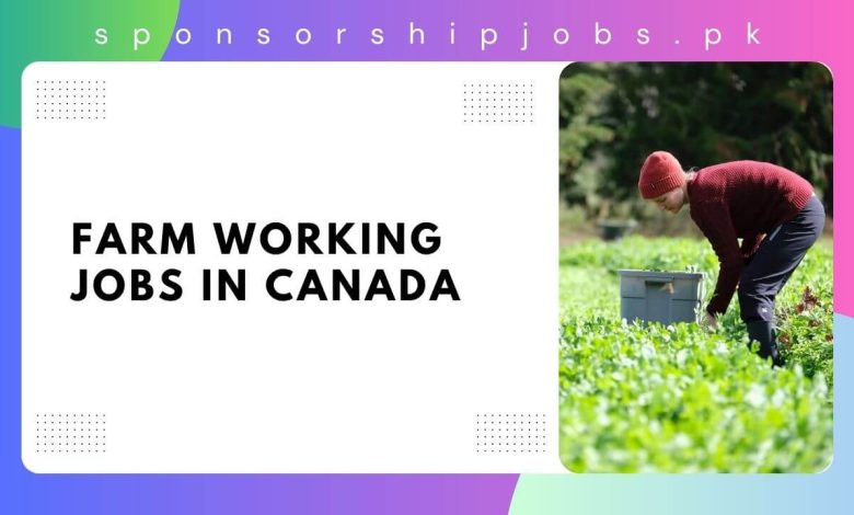 Farm Working Jobs in Canada