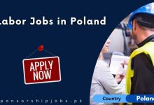 Labor Jobs in Poland