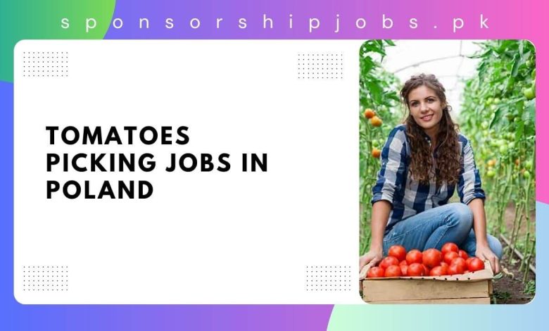 Tomatoes Picking Jobs in Poland