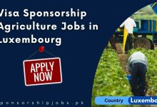 Visa Sponsorship Agriculture Jobs in Luxembourg