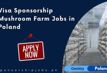 Visa Sponsorship Mushroom Farm Jobs in Poland