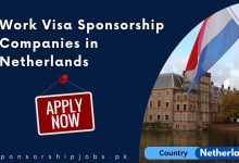 Work Visa Sponsorship Companies in Netherlands