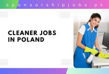 Cleaner Jobs in Poland