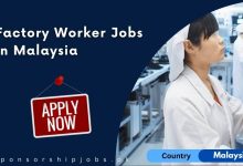 Factory Worker Jobs in Malaysia