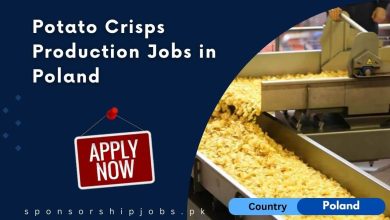 Potato Crisps Production Jobs in Poland