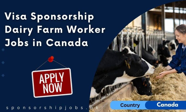 Visa Sponsorship Dairy Farm Worker Jobs in Canada