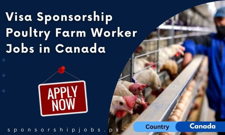 Visa Sponsorship Poultry Farm Worker Jobs in Canada