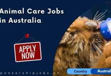 Animal Care Jobs in Australia