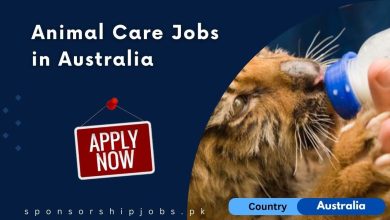 Animal Care Jobs in Australia