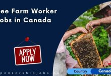 Bee Farm Worker Jobs in Canada