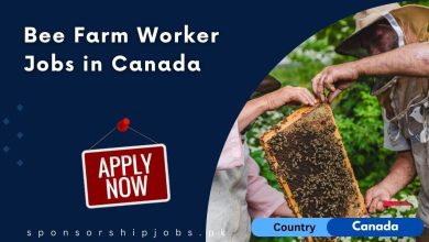 Bee Farm Worker Jobs in Canada