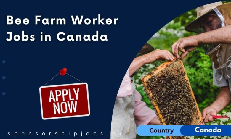 Bee Farm Worker Jobs in Canada