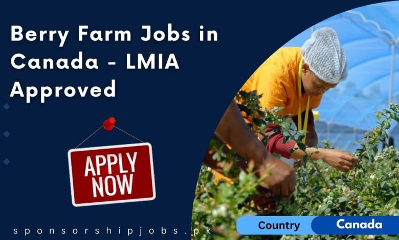 Berry Farm Jobs in Canada - LMIA Approved