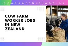 Cow Farm Worker Jobs in New Zealand