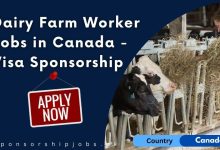 Dairy Farm Worker Jobs in Canada - Visa Sponsorship