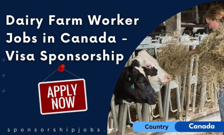 Dairy Farm Worker Jobs in Canada - Visa Sponsorship