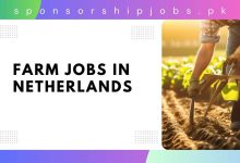 Farm Jobs in Netherlands