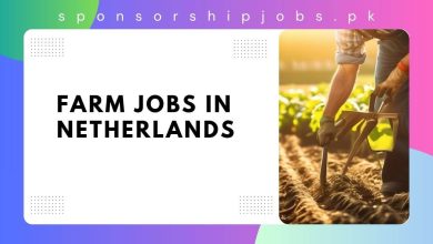 Farm Jobs in Netherlands