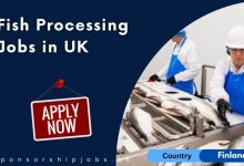 Fish Processing Jobs in UK