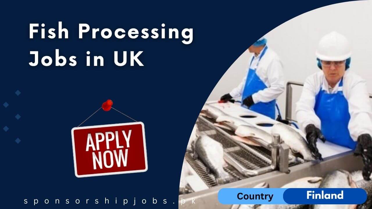 Fish Processing Jobs in UK 2024 Free Work Visa