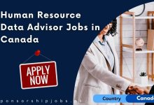 Human Resource Data Advisor Jobs in Canada