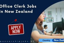 Office Clerk Jobs In New Zealand