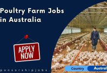 Poultry Farm Jobs in Australia