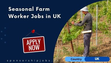 Seasonal Farm Worker Jobs in UK