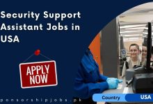 Security Support Assistant Jobs in USA