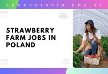Strawberry Farm Jobs in Poland