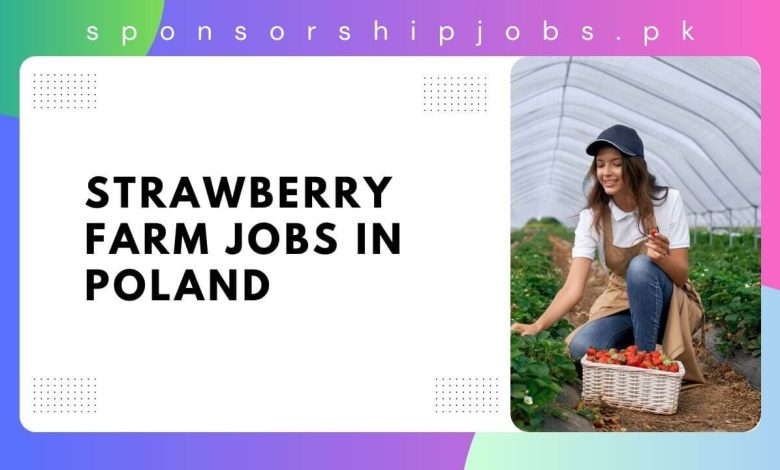 Strawberry Farm Jobs in Poland
