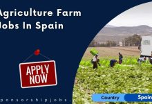 Agriculture Farm Jobs In Spain