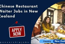 Chinese Restaurant Waiter Jobs in New Zealand