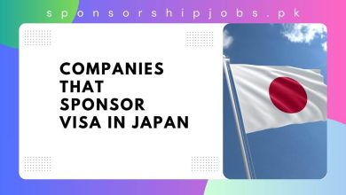 Companies that Sponsor Visa in Japan