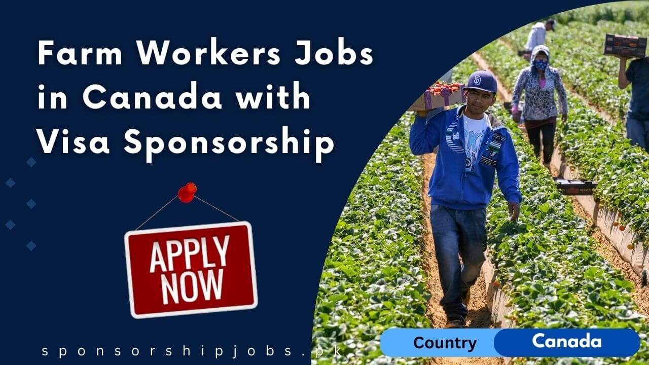 Farm Workers Jobs in Canada with Visa Sponsorship 2024