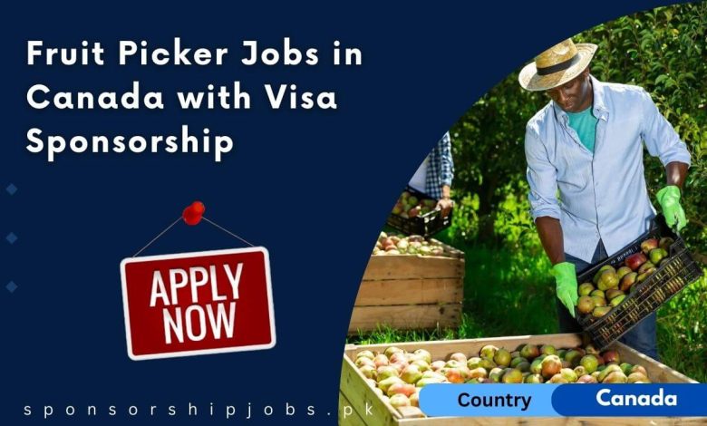 Fruit Picker Jobs in Canada with Visa Sponsorship