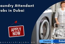 Laundry Attendant Jobs in Dubai