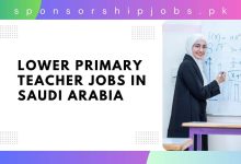 Lower Primary Teacher Jobs in Saudi Arabia