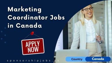 Marketing Coordinator Jobs in Canada