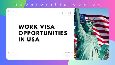 Work Visa Opportunities in USA